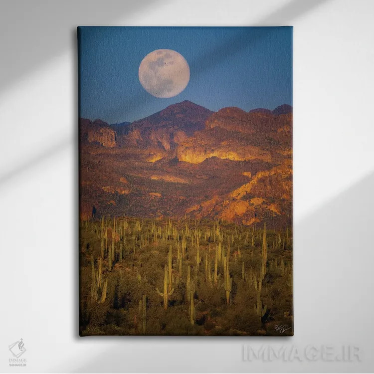 تابلو دکوراتیو طلوع ماه در صحرا اثر پیتر کسکن - نمای روبهرو روی دیوار