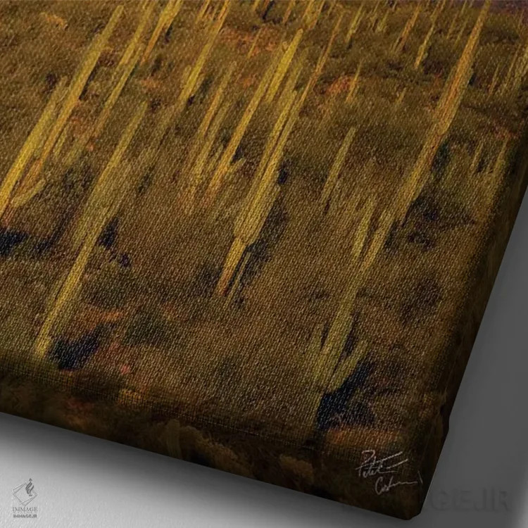 تابلو دکوراتیو طلوع ماه در صحرا اثر پیتر کسکن - نمای نزدیک بافت بوم