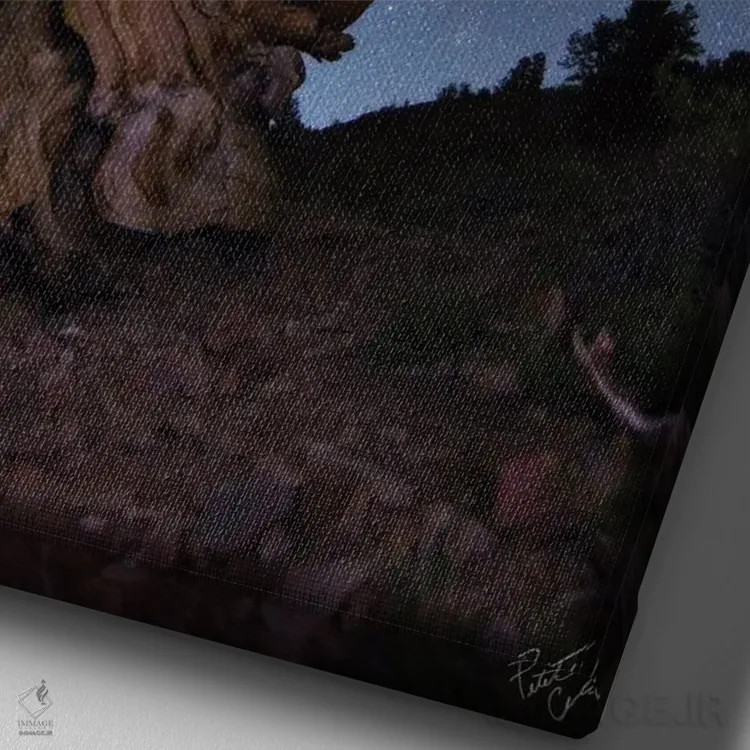 تابلو دکوراتیو باله برستلکون اثر پیتر کسکن - نمای نزدیک بافت بوم