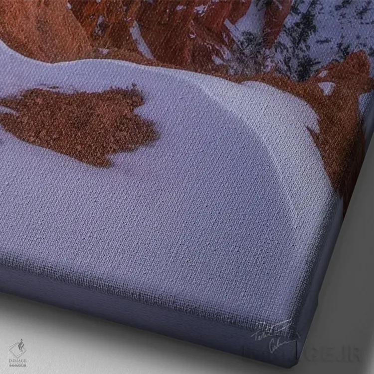 تابلو دکوراتیو بیابان بستنی اثر پیتر کسکن - نمای نزدیک بافت بوم