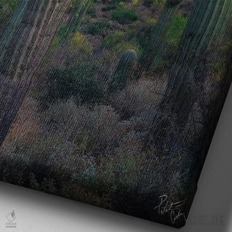 تابلو دکوراتیو ساگوارویل اثر پیتر کسکن - نمای نزدیک بافت بوم