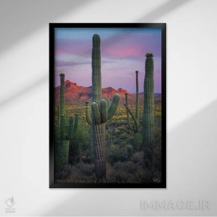 تابلو دکوراتیو ساگوارویل اثر پیتر کسکن - نمای قابدار مشکی