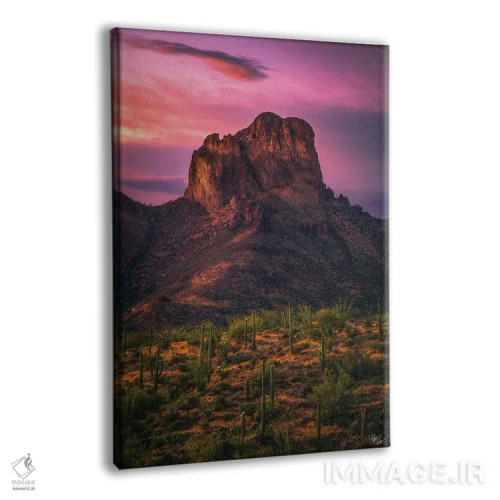 تابلو دکوراتیو غروب لانه های عقاب ها اثر پیتر کسکن - نمای پرسپکتیو محصول