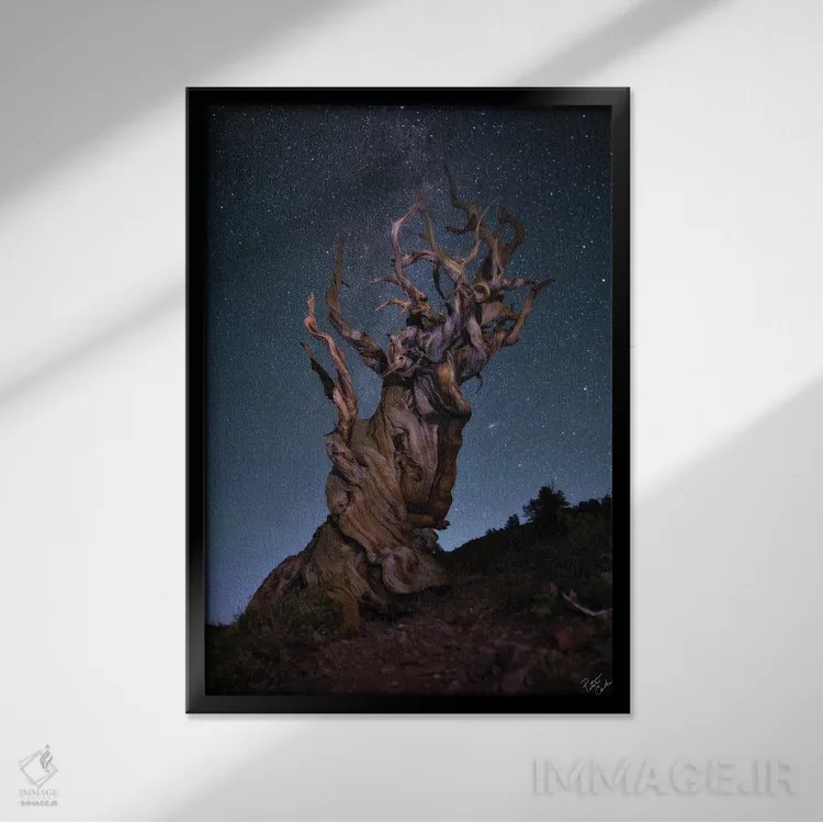 تابلو دکوراتیو باله برستلکون اثر پیتر کسکن - نمای قابدار مشکی