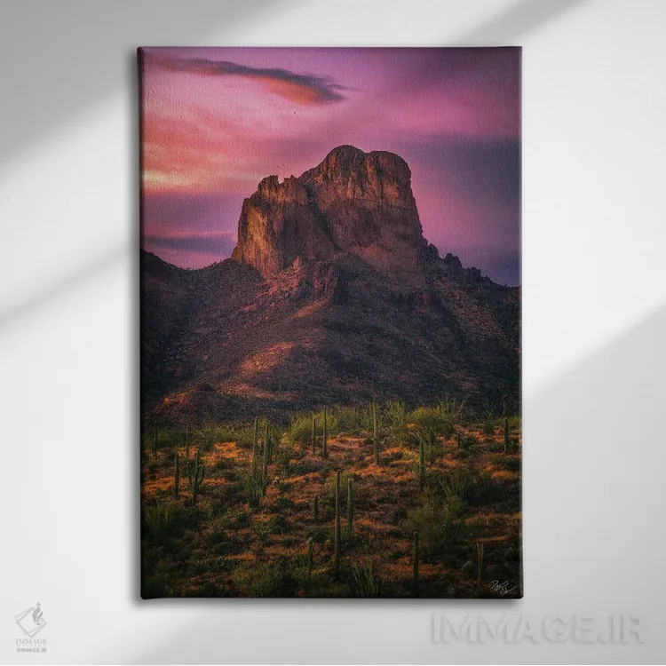 تابلو دکوراتیو غروب لانه های عقاب ها اثر پیتر کسکن - نمای روبهرو روی دیوار