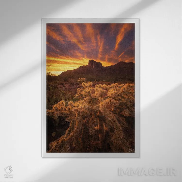 تابلو دکوراتیو ریشه ها اثر پیتر کسکن - نمای قابدار سفید