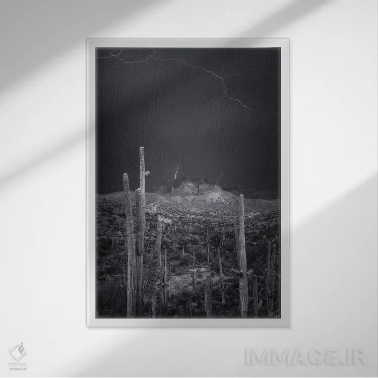 تابلو دکوراتیو آتش افروزها اثر پیتر کسکن - نمای قابدار سفید