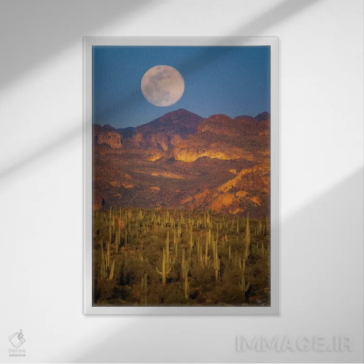تابلو دکوراتیو طلوع ماه در صحرا اثر پیتر کسکن - نمای قابدار سفید