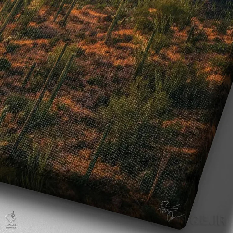 تابلو دکوراتیو غروب لانه های عقاب ها اثر پیتر کسکن - نمای نزدیک بافت بوم