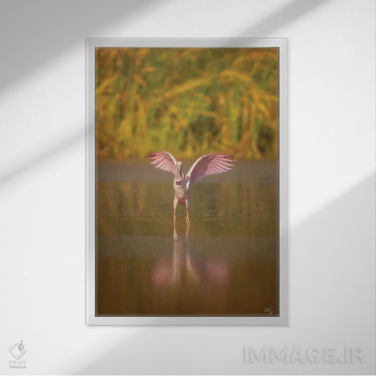 تابلو دکوراتیو به سمت قاشق زنی اثر پیتر کسکن - نمای قابدار سفید