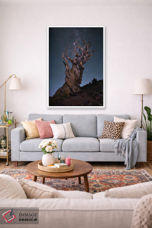 تابلو دکوراتیو باله برستلکون اثر پیتر کسکن - D1W