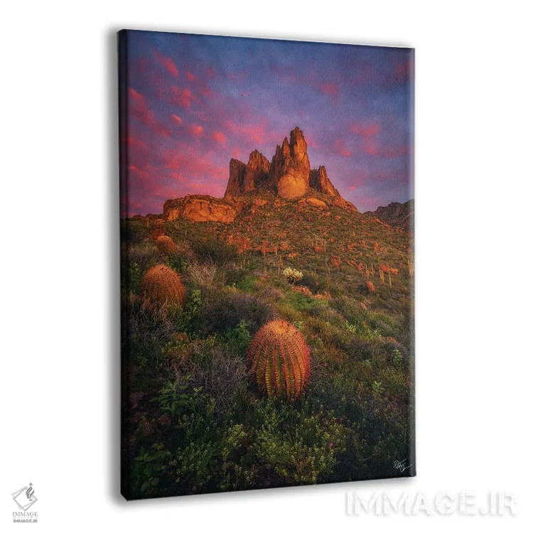 تابلو دکوراتیو سرخوشی سرسبز اثر پیتر کسکن - نمای پرسپکتیو محصول