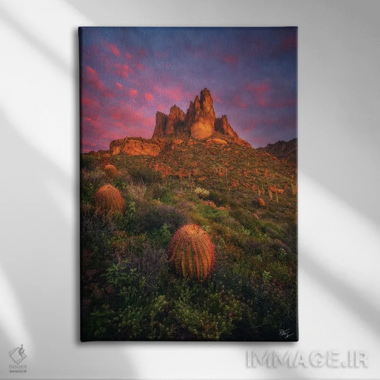 تابلو دکوراتیو سرخوشی سرسبز اثر پیتر کسکن - نمای روبهرو روی دیوار