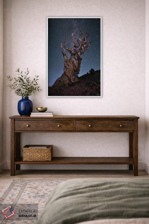 تابلو دکوراتیو باله برستلکون اثر پیتر کسکن - D3W