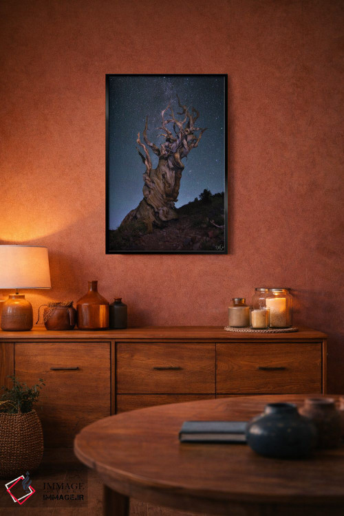 تابلو دکوراتیو باله برستلکون اثر پیتر کسکن - D4B