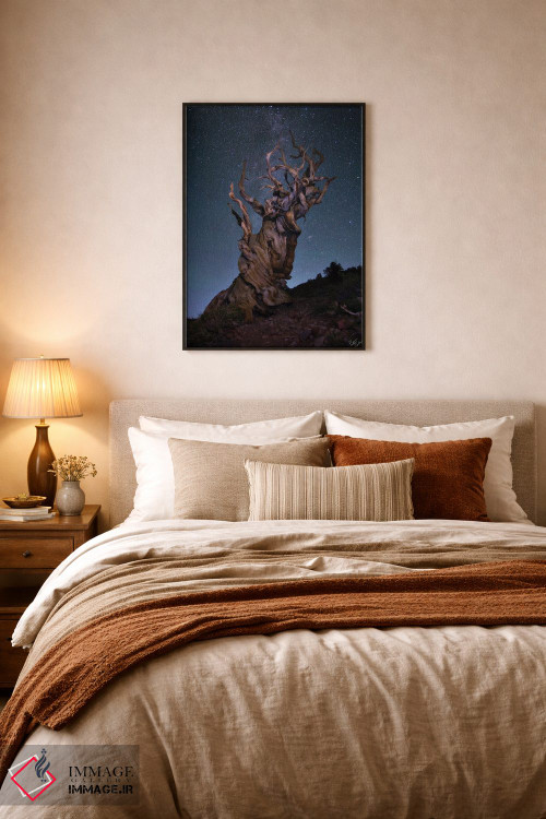 تابلو دکوراتیو باله برستلکون اثر پیتر کسکن - D5B