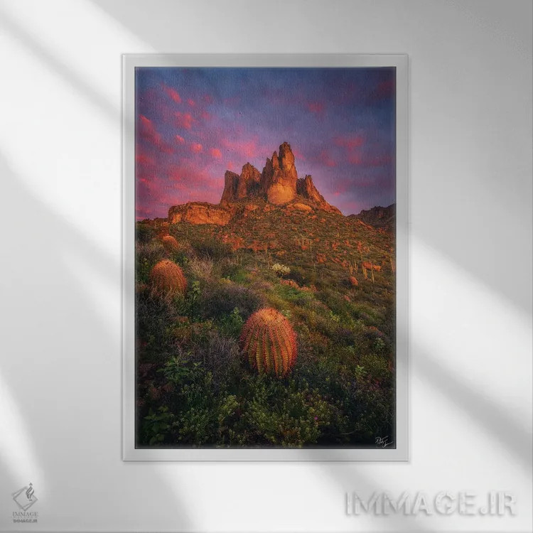 تابلو دکوراتیو سرخوشی سرسبز اثر پیتر کسکن - نمای قابدار سفید