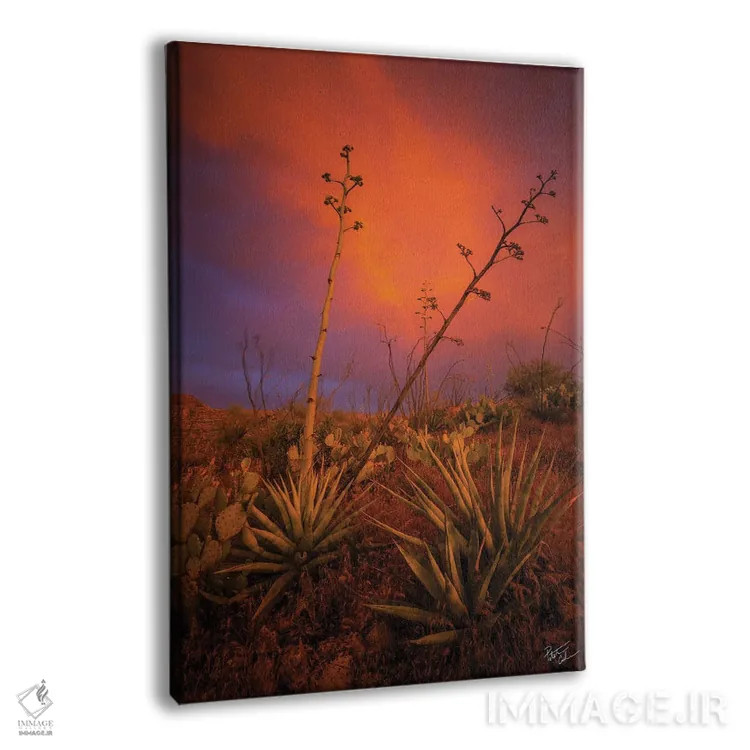 تابلو دکوراتیو صلح در هرج و مرج اثر پیتر کسکن - نمای پرسپکتیو محصول