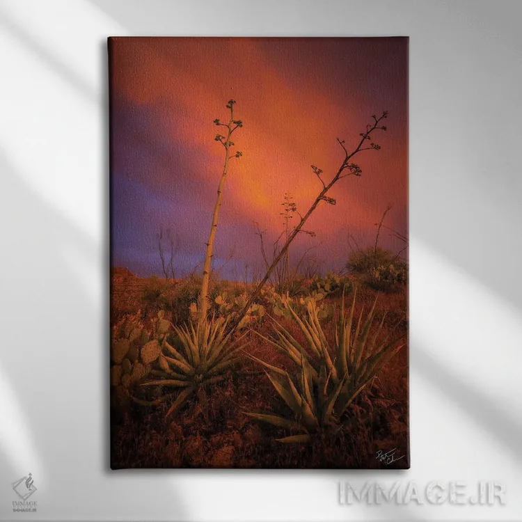 تابلو دکوراتیو صلح در هرج و مرج اثر پیتر کسکن - نمای روبهرو روی دیوار