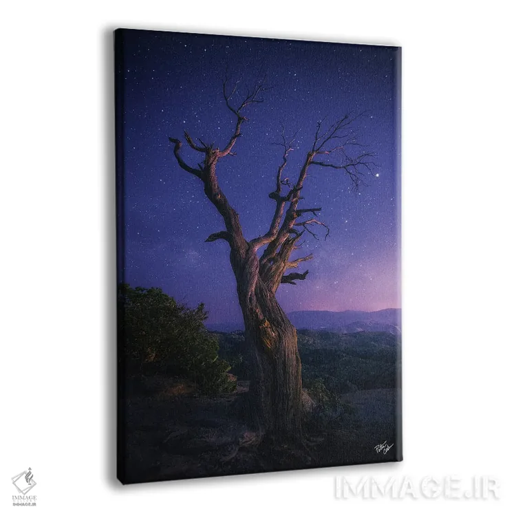 تابلو دکوراتیو فراتر رفتن اثر پیتر کسکن - نمای پرسپکتیو محصول