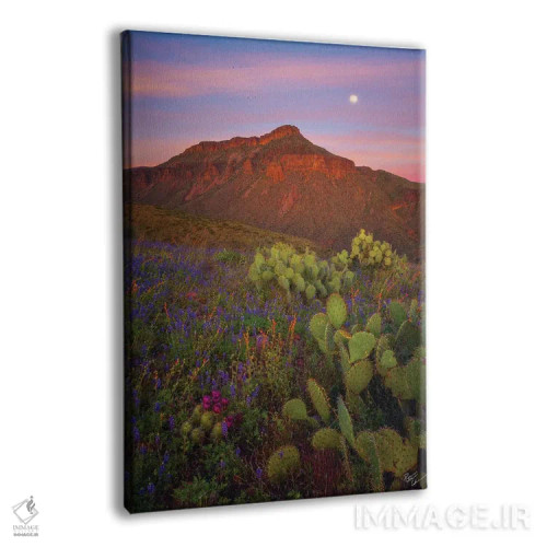 تابلو دکوراتیو پادشاهی طلوع ماه اثر پیتر کسکن - نمای پرسپکتیو محصول