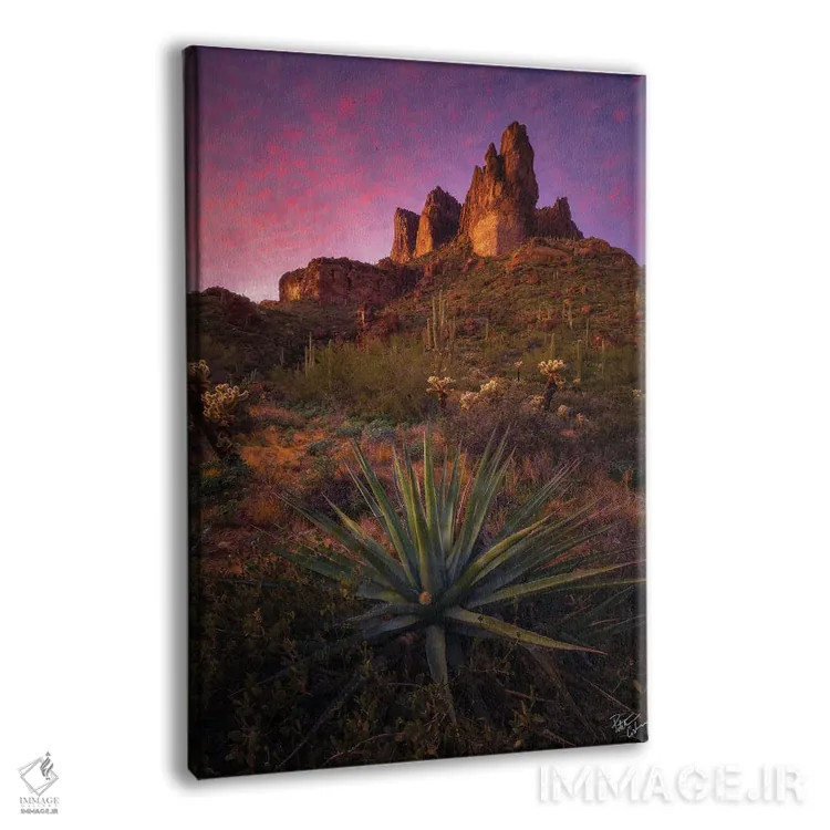 تابلو دکوراتیو سنجاق ها و سوزن ها اثر پیتر کسکن - نمای پرسپکتیو محصول