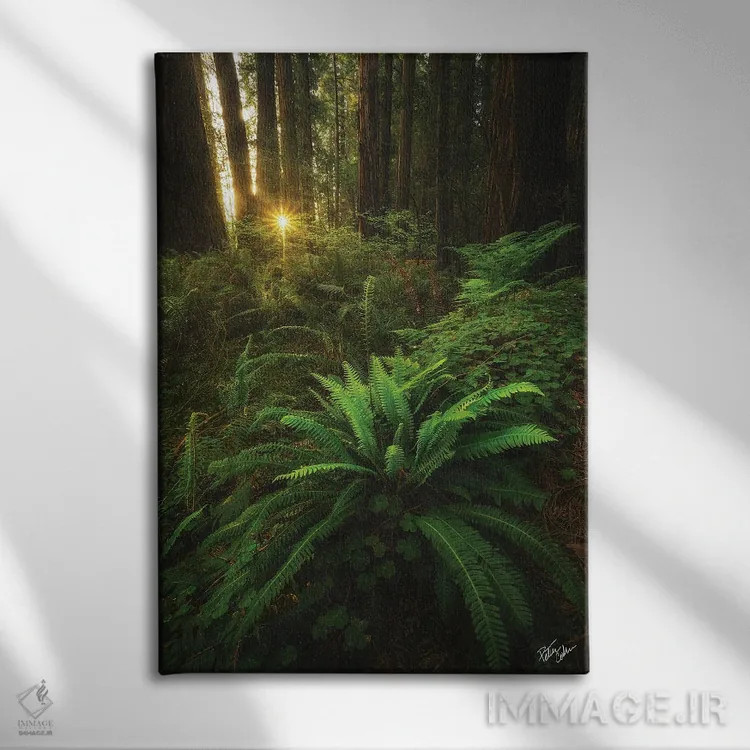 تابلو دکوراتیو نگاه کردن اثر پیتر کسکن - نمای روبهرو روی دیوار