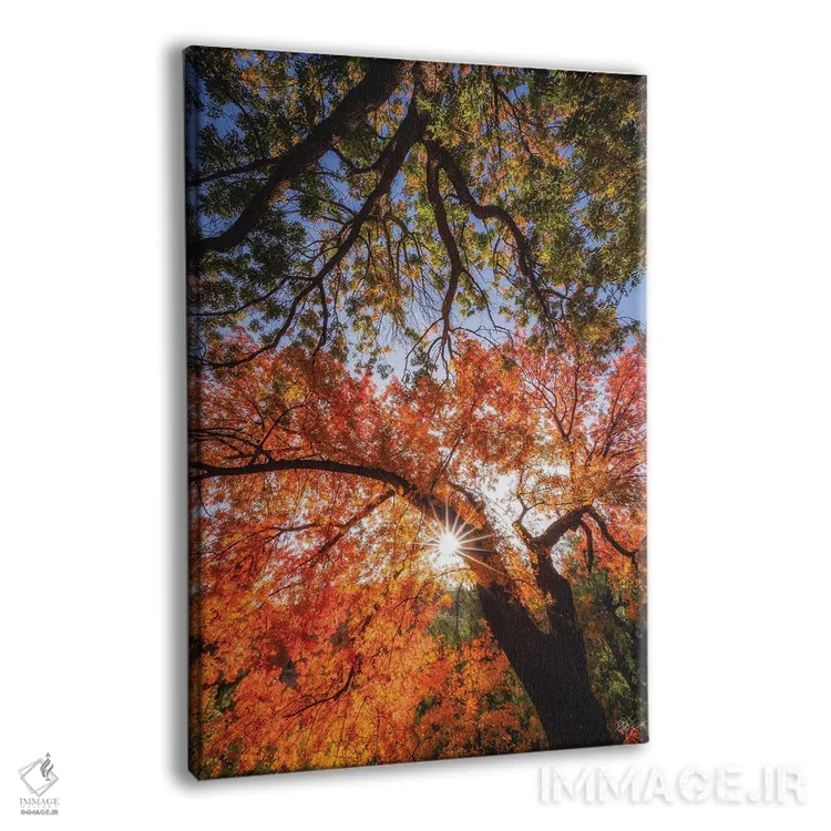 تابلو دکوراتیو رسیدن به ستارگان اثر پیتر کسکن - نمای پرسپکتیو محصول