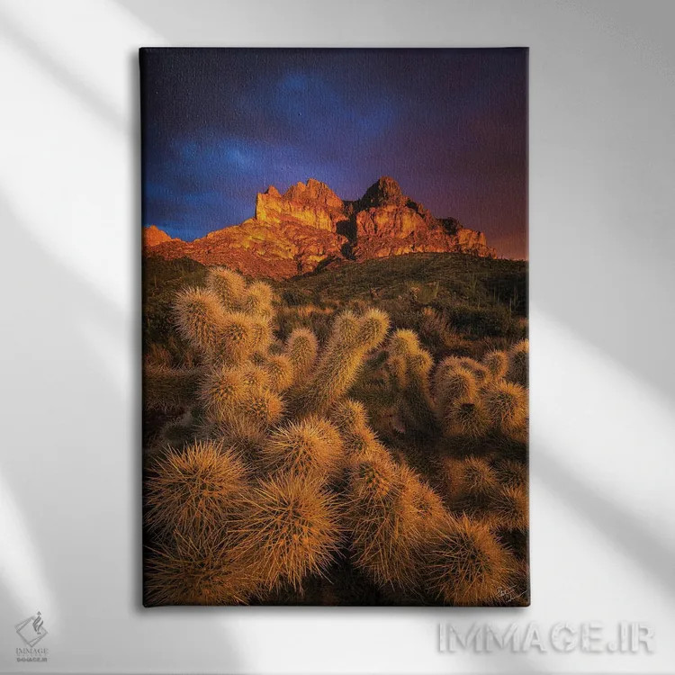 تابلو دکوراتیو طلاهای پیکت اثر پیتر کسکن - نمای روبهرو روی دیوار