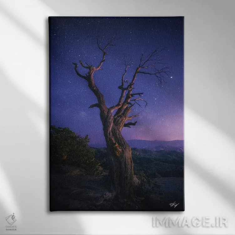 تابلو دکوراتیو فراتر رفتن اثر پیتر کسکن - نمای روبهرو روی دیوار