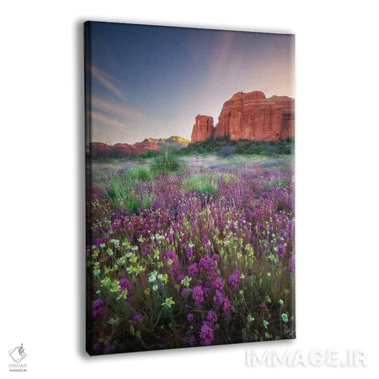 تابلو دکوراتیو چشمه سنگ قرمز اثر پیتر کسکن - نمای پرسپکتیو محصول