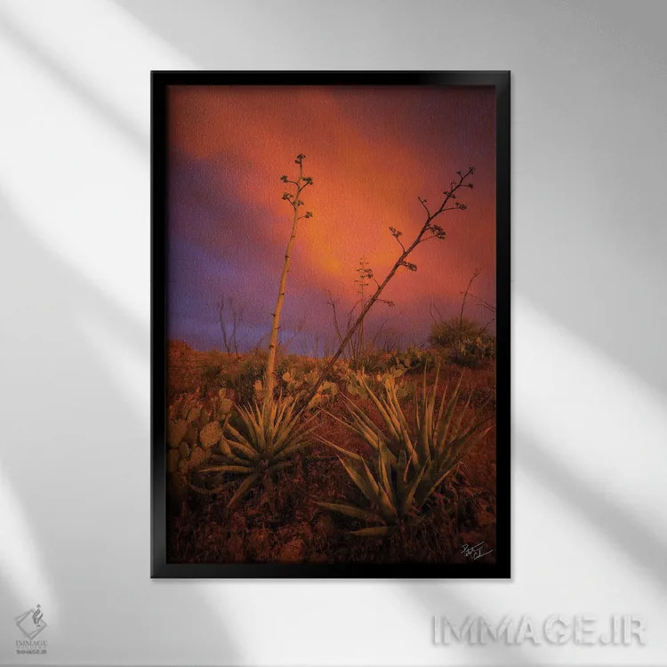 تابلو دکوراتیو صلح در هرج و مرج اثر پیتر کسکن - نمای قابدار مشکی