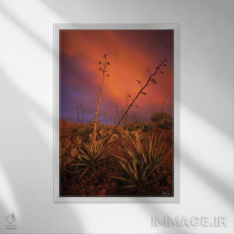 تابلو دکوراتیو صلح در هرج و مرج اثر پیتر کسکن - نمای قابدار سفید