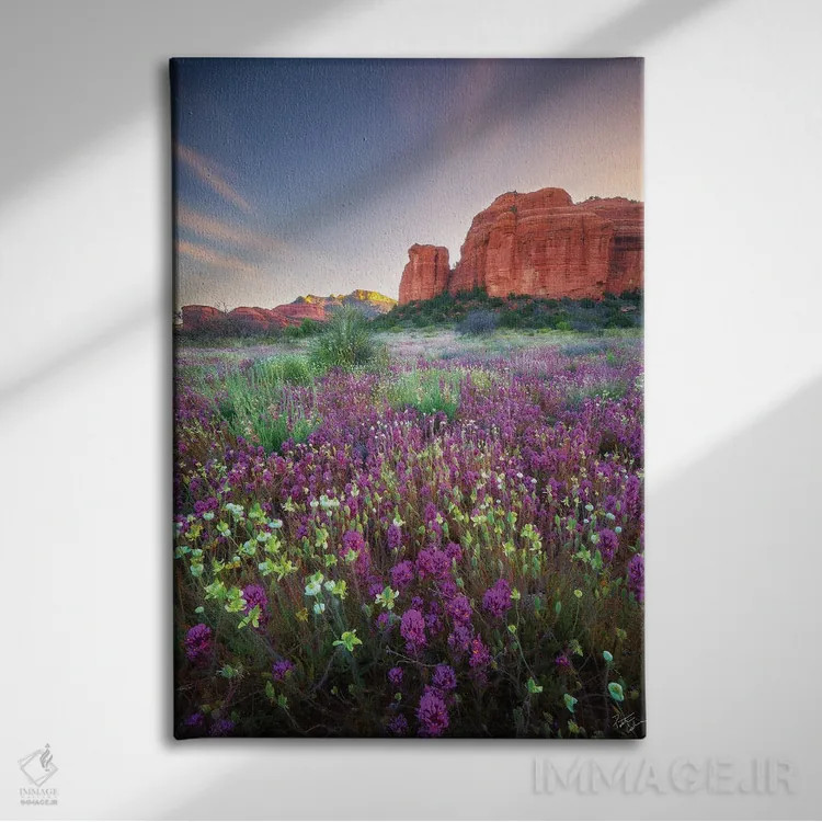 تابلو دکوراتیو چشمه سنگ قرمز اثر پیتر کسکن - نمای روبهرو روی دیوار