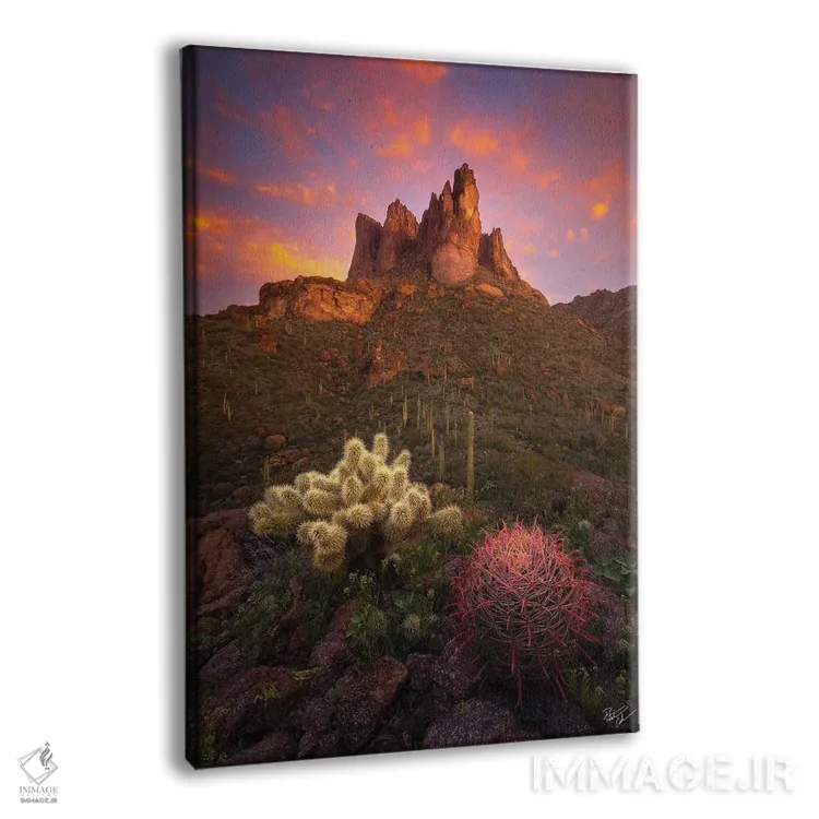 تابلو دکوراتیو سایپ و بشکه II اثر پیتر کسکن - نمای پرسپکتیو محصول