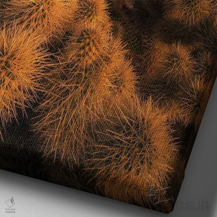 تابلو دکوراتیو طلاهای پیکت اثر پیتر کسکن - نمای نزدیک بافت بوم