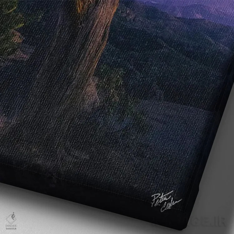 تابلو دکوراتیو فراتر رفتن اثر پیتر کسکن - نمای نزدیک بافت بوم