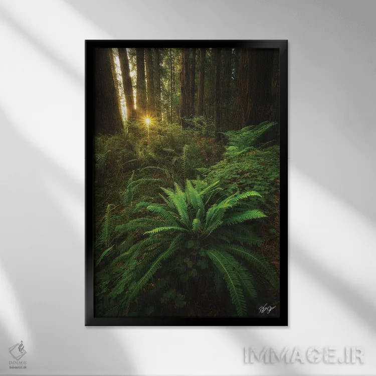 تابلو دکوراتیو نگاه کردن اثر پیتر کسکن - نمای قابدار مشکی