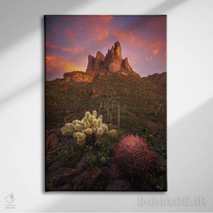 تابلو دکوراتیو سایپ و بشکه II اثر پیتر کسکن - نمای روبهرو روی دیوار