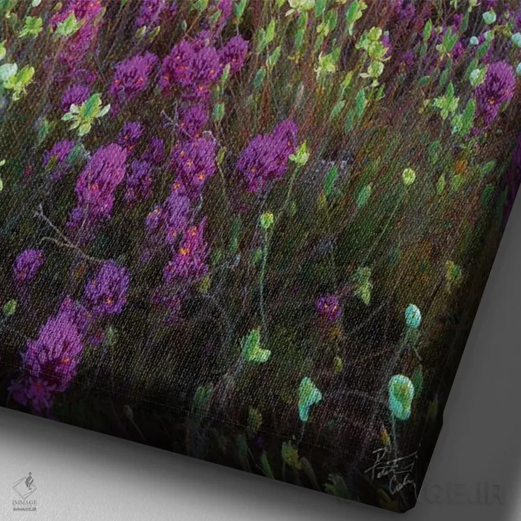 تابلو دکوراتیو چشمه سنگ قرمز اثر پیتر کسکن - نمای نزدیک بافت بوم