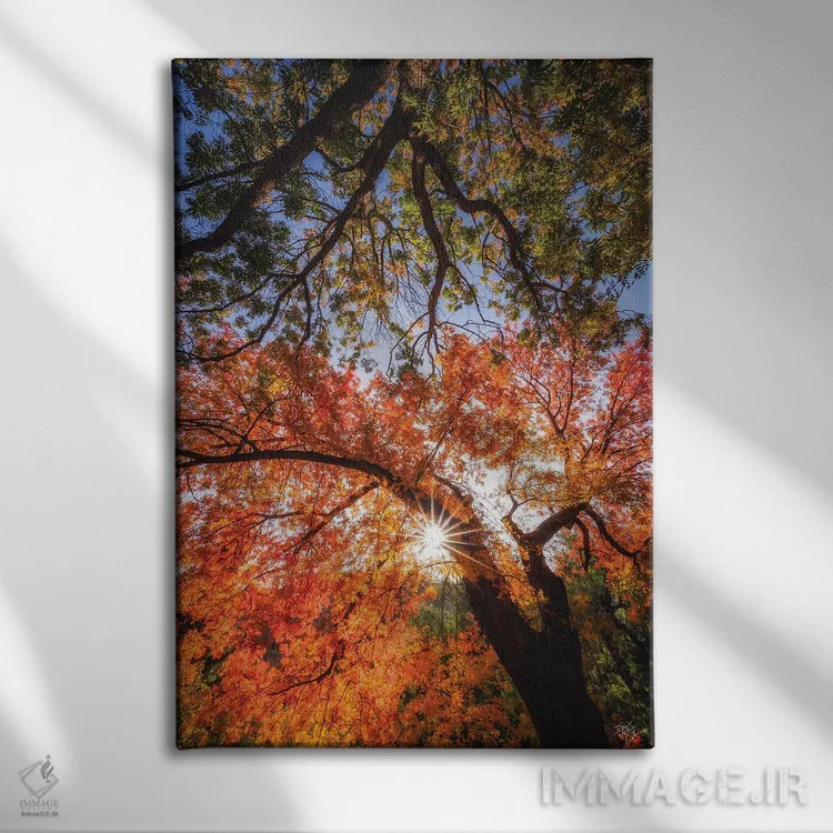 تابلو دکوراتیو رسیدن به ستارگان اثر پیتر کسکن - نمای روبهرو روی دیوار