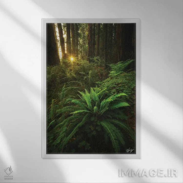 تابلو دکوراتیو نگاه کردن اثر پیتر کسکن - نمای قابدار سفید