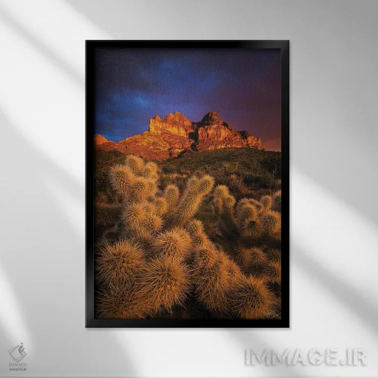 تابلو دکوراتیو طلاهای پیکت اثر پیتر کسکن - نمای قابدار مشکی