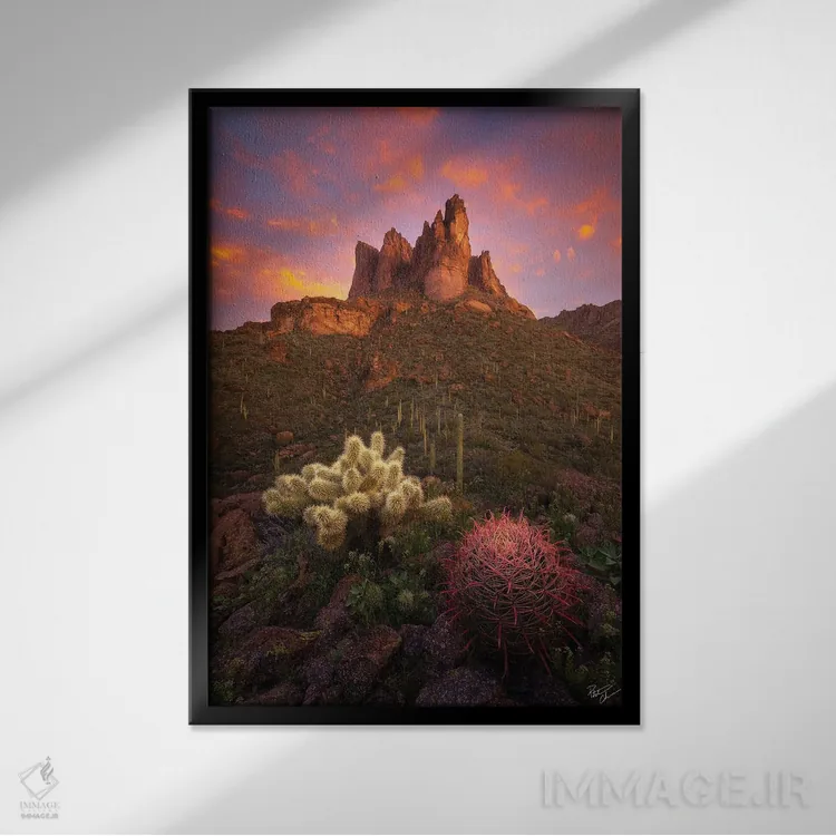 تابلو دکوراتیو سایپ و بشکه II اثر پیتر کسکن - نمای قابدار مشکی