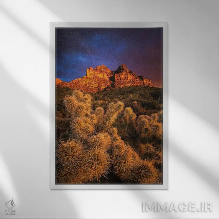 تابلو دکوراتیو طلاهای پیکت اثر پیتر کسکن - نمای قابدار سفید