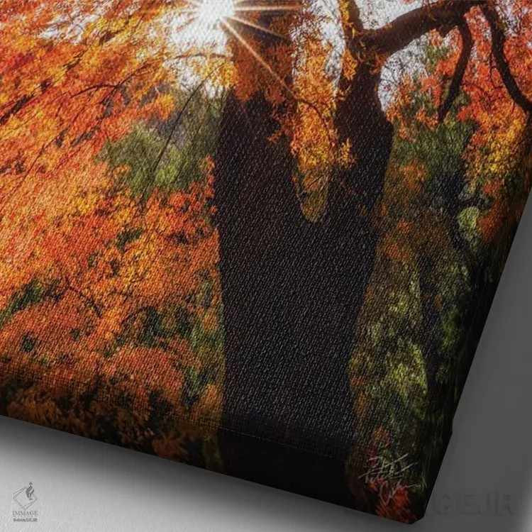 تابلو دکوراتیو رسیدن به ستارگان اثر پیتر کسکن - نمای نزدیک بافت بوم