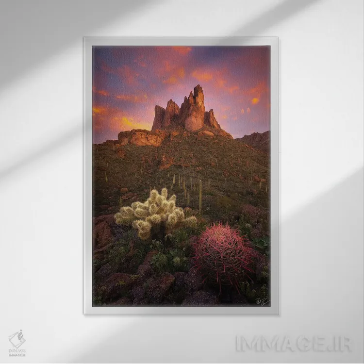 تابلو دکوراتیو سایپ و بشکه II اثر پیتر کسکن - نمای قابدار سفید