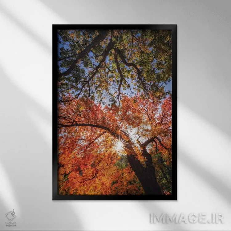 تابلو دکوراتیو رسیدن به ستارگان اثر پیتر کسکن - نمای قابدار مشکی