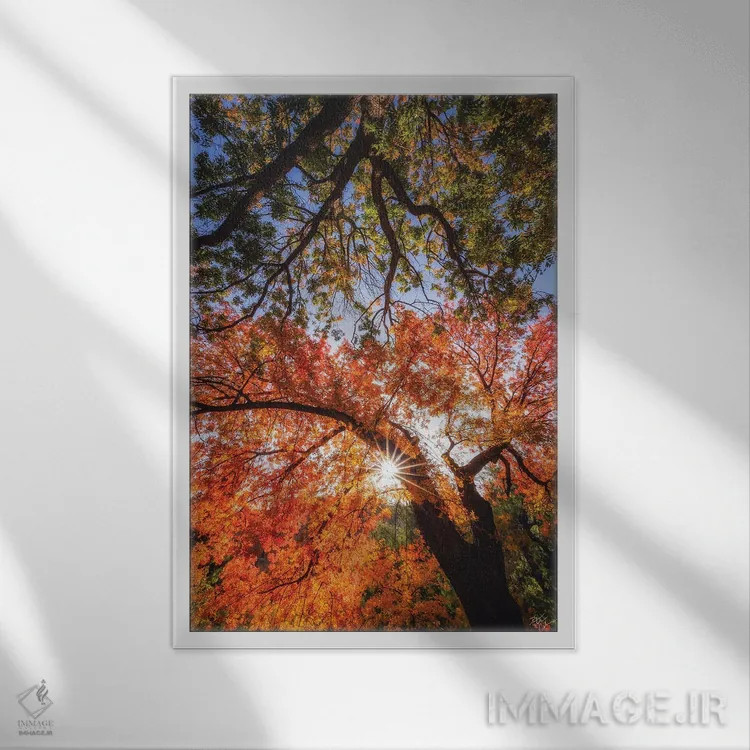 تابلو دکوراتیو رسیدن به ستارگان اثر پیتر کسکن - نمای قابدار سفید