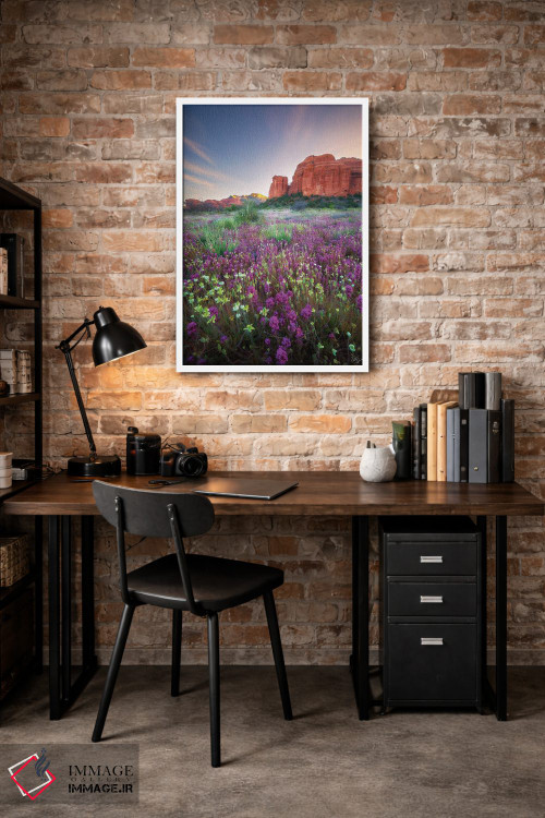 تابلو دکوراتیو چشمه سنگ قرمز اثر پیتر کسکن - D1W